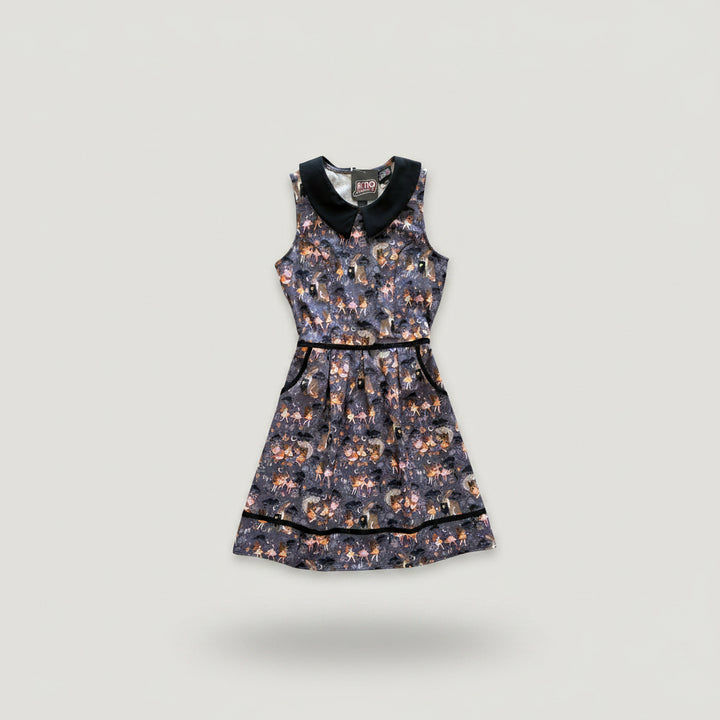 Fairies Collared Dress